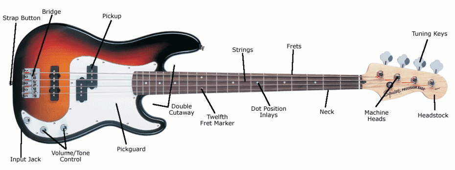 bass_anatomy_large-930x347 What is a Bass?