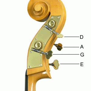 bass guitar string letter names - Bassist HQ