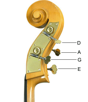 double-bass-string-letter-names What is a Bass?