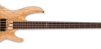 ESP LTD B-204SMFL Fretless Bass Guitar