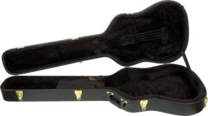 61lkB7ZlL._SL1000_1-300x168 Best Bass Guitar Cases & Gig Bags 2022