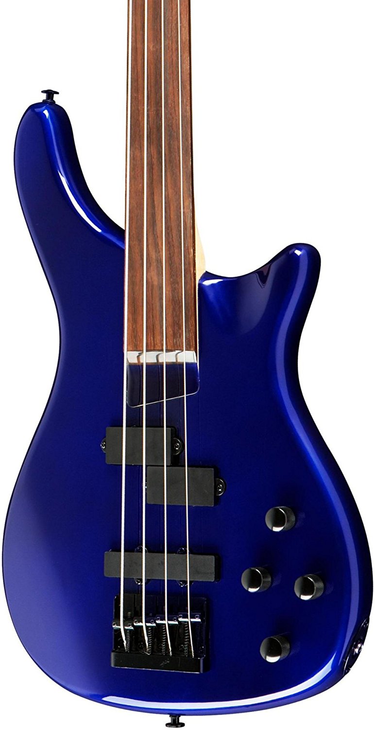 Difference Between Fretless And Fretted Bass at Melvin Janes blog